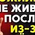 Почему ПОЖИЛЫЕ люди живут недолго после 80 лет 5 СЕКРЕТОВ для жизни более 100 ЛЕТ