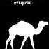 Қарахан мемлекеті 942 1212 Қарахан мемлекетінде ислам дінінің орнауы