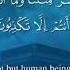 Surah Yaseen Umair Shamim