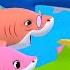 Baby Shark Doo Doo Doo 1 Hour Compilation Baby Shark Remix Baby Shark Official