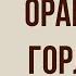 Оранжевое горлышко Краткое содержание