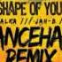 Ed Sheeran Shapeofyou Gal Malka Ft Jah B And Shir Maman Dancehall Remix