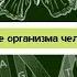 Биология 8 класс 4 Строение организма человека 1