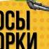 ТОП 7 Лучшие пылесосы для уборки шерсти Рейтинг 2024 Какой лучше выбрать для дома ЦЕНА КАЧЕСТВО