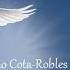 Celestial Music Of Joao Cota Robles Through Frederic Delarue A Healing Gift To Humanity