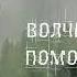 Олег Протасов Волчья помощь Альбом 2006