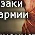 Донские казаки в Великой Отечественной войне Андрей Венков История казачества Научпоп