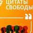 Цитаты Свободы Цитаты Свободы Война компроматов