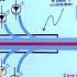 How A Fiber Laser Works How A 30w Fiber Laser Can Output 24kw Of Laser Power