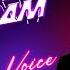 YOU RE THE VOICE John Farnham Tommy Johansson