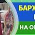 БАРХАТНАЯ ПОВЯЗКА И ЕЁ ЭФФЕКТ НА ОРГАНИЗМ ЧЕЛОВЕКА Шишова О И