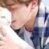 BTS Jimin With Cat MOMENTS