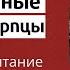 Царственные страстотерпцы жизнь и почитание