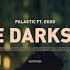 The Dark Side Ekko X Palastic Selected