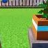 Minecraft LEKIN Daraxtni Avtamatlashtirdim