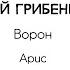 Алексей Грибенщиков Ворон Арис