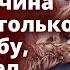 Став миллионером в Новогоднюю ночь мужчина нашел не только свою судьбу но и увидел Истории любви