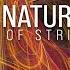 Unifying Nature S Laws The State Of String Theory