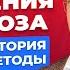 Секреты полного избавления от невроза ВСД и панических атак Павел Федоренко