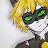 Chat Noir S Broken Heart