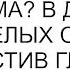 У меня больше нет дома В дом престарелых сдадите опустив глаза спросила я невестку