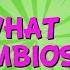 WHAT IS SYMBIOSIS Educational Videos For Kids