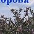 Сура 2 Аль Бакара Корова с 284 го по 286 й аяты