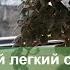 Аихризон дерево любви вегетативное размножение Самый простой способ размножение черенками