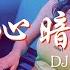 DJ小魚兒 偷心暗器 DJ版 慢搖DJ舞曲 2023年最勁爆的DJ歌曲 Chinese Dj Remix 2023