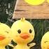 Five Little Ducks Nursery Rhyme Children S Song By Tickle Munkiees