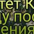 Как цветёт Калина в саду после избавления от тли