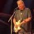 Walter Trout Broken