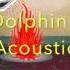 The Dolphins Cry Real Acoustic Live Ed Kowalczyk