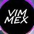 VIMMEX Electric Lines Copyright Free Music