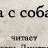 А П Чехов Дама с собачкой 1898г Читает Игорь Дмитриев