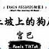 土坡上的狗尾草 抖音DJ版 宫巴 黄土地变成柏油 野花开满那时的村口 我又买了你最爱吃的肉 可你却不在我左右 抖音最热门的背景音乐 抖音 TikTok