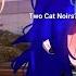 Two Cat Noirs Miraculous Meme GC