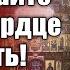 Проповедь митр Арсения в Неделю 4 ю по Пасхе о расслабленном 15 5 22 г