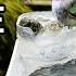 10 Hummingbird Fountain Birds Love NO Solar Or AC Waterfall Birdbath Hummingbirds Endless Water