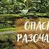 ИНДОНЕЗИЯ ЗАГАДКИ природы обезьяны АБЬЮЗЕРЫ ПРАВДА про БАЛИ от местных ВСË ПОКА