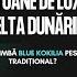 De Vorba Cu Iulian Râmbu Cum Schimbă Blue Kokilia Pescuitul Tradițional