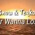 Snøw Teqkoi I Never Wanna Lose You Lyrics