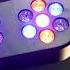 Fuzzix AllStar1 LED Disco Party Light Effect