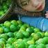 Harvest Lemons To Sell At The Market Clean Up Around The House Triệu Thị Hiền