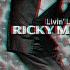 Ricky Martin Livin La Vida Loca H0B3X Remix