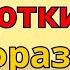 Немецкий для начинающих 1000 коротких предложений на немецком Разговорные фразы ЧАСТЬ 1