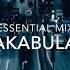 Vakabular Essential Mix Part 2