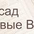 Коран Сура 111 аль Масад Пальмовые волокна русский Мишари Рашид Аль Афаси