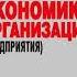 Аудиокнига Экономика организации предприятия СПО Учебник Владимир Дмитриевич Грибов