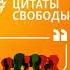 Цитаты Свободы Цитаты Свободы Кто будет торговать русскими